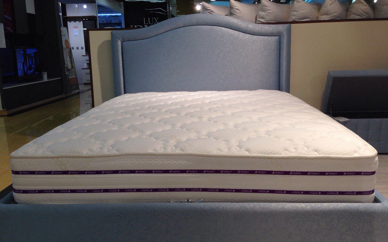 Sonberry Calvaro фото 5